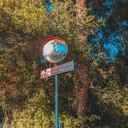 شقة Il Sole بورتو كورسيني