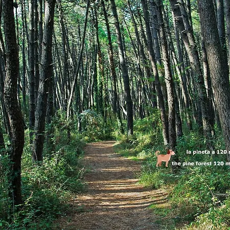 Appartement Il Sole Porto Corsini